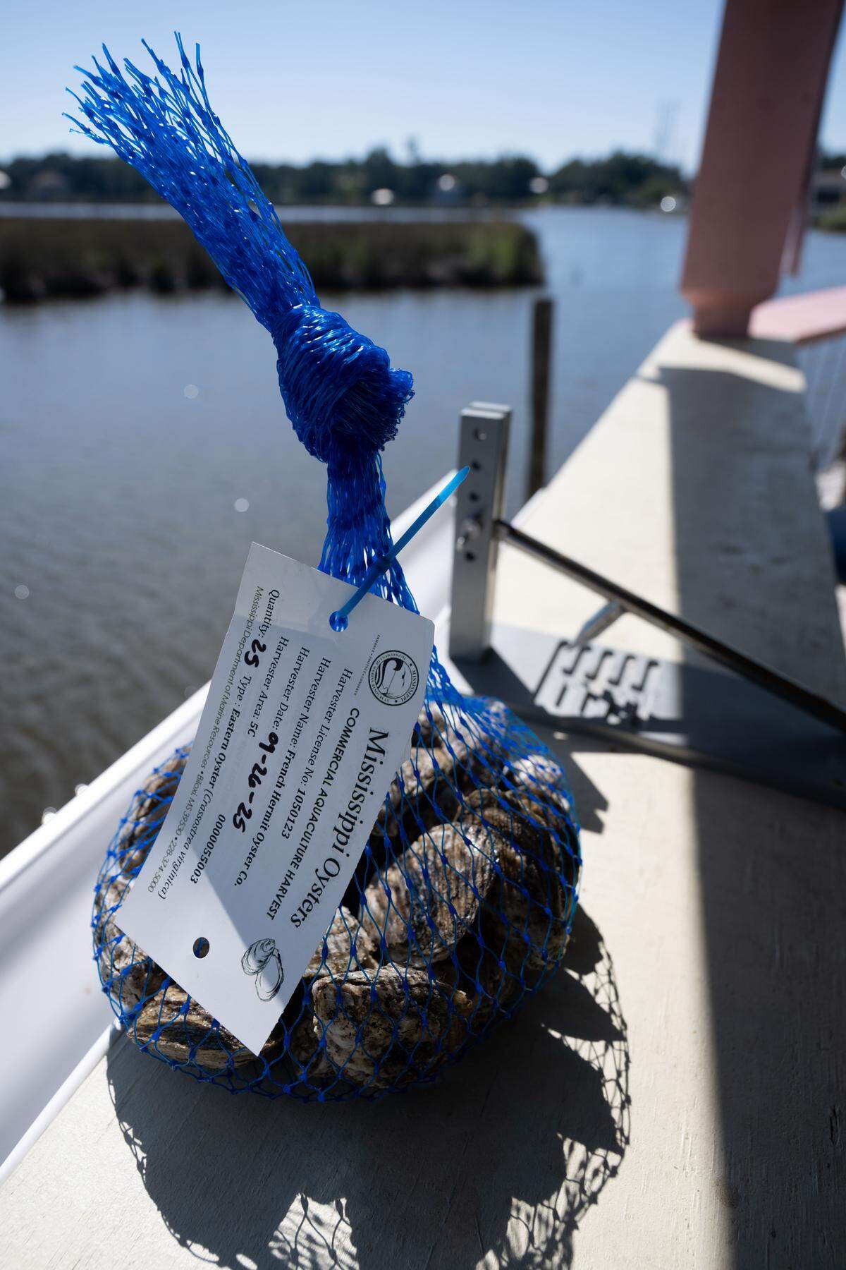 A bag of oysters is for sale at French Hermit Oyster Co. in Ocean Springs. The oysters are harvested off Deer Island.