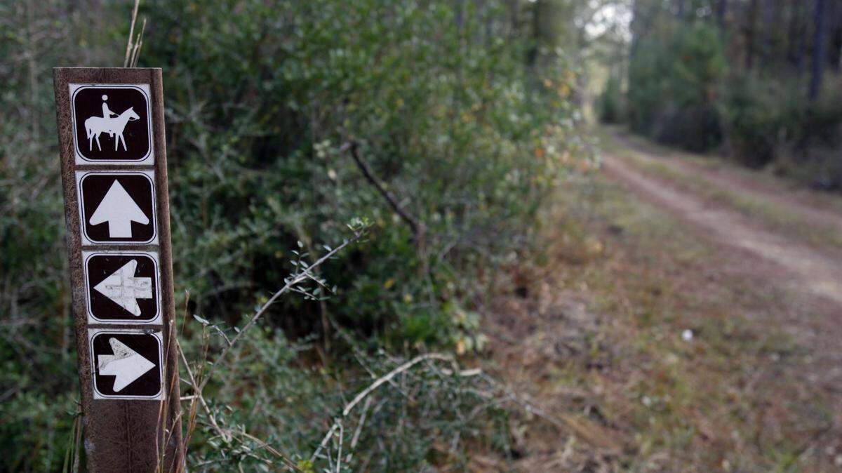 Trail markers show the horse trail in DeSoto National Forest.