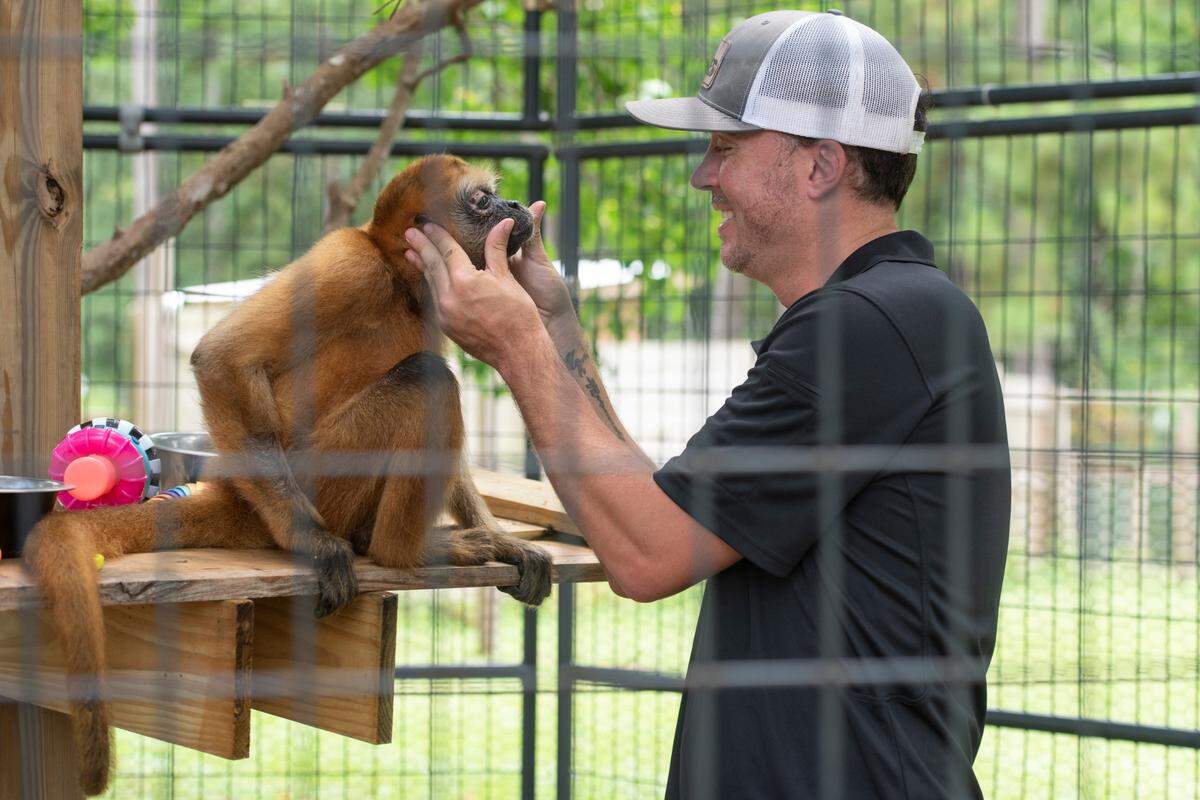 Cody Breland, owner of Wild Acres, pets Kiki’s face inside his enclosure at Wild Acres in McHenry on Thursday, July 6, 2023.