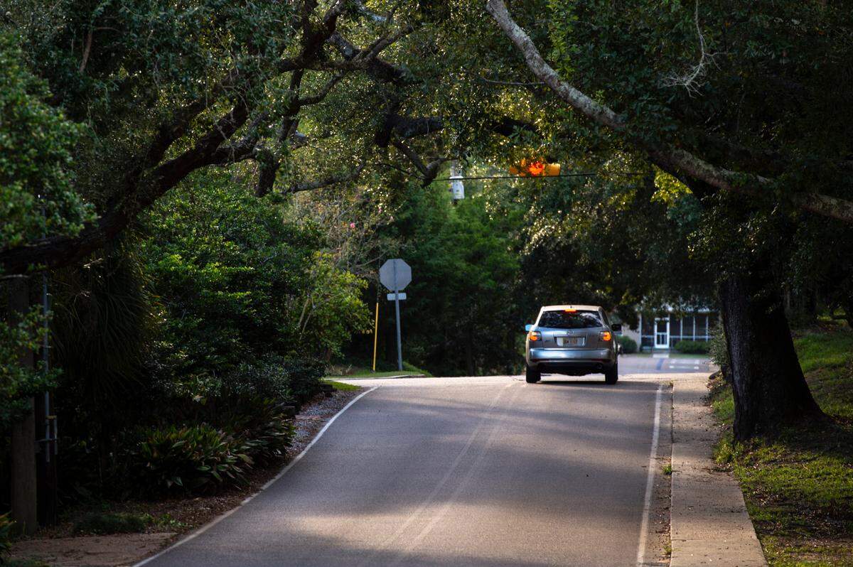 Trees cover the intersection of Calhoun Street and Washington Avenue in Ocean Springs on Wednesday, Sept. 25, 2024.