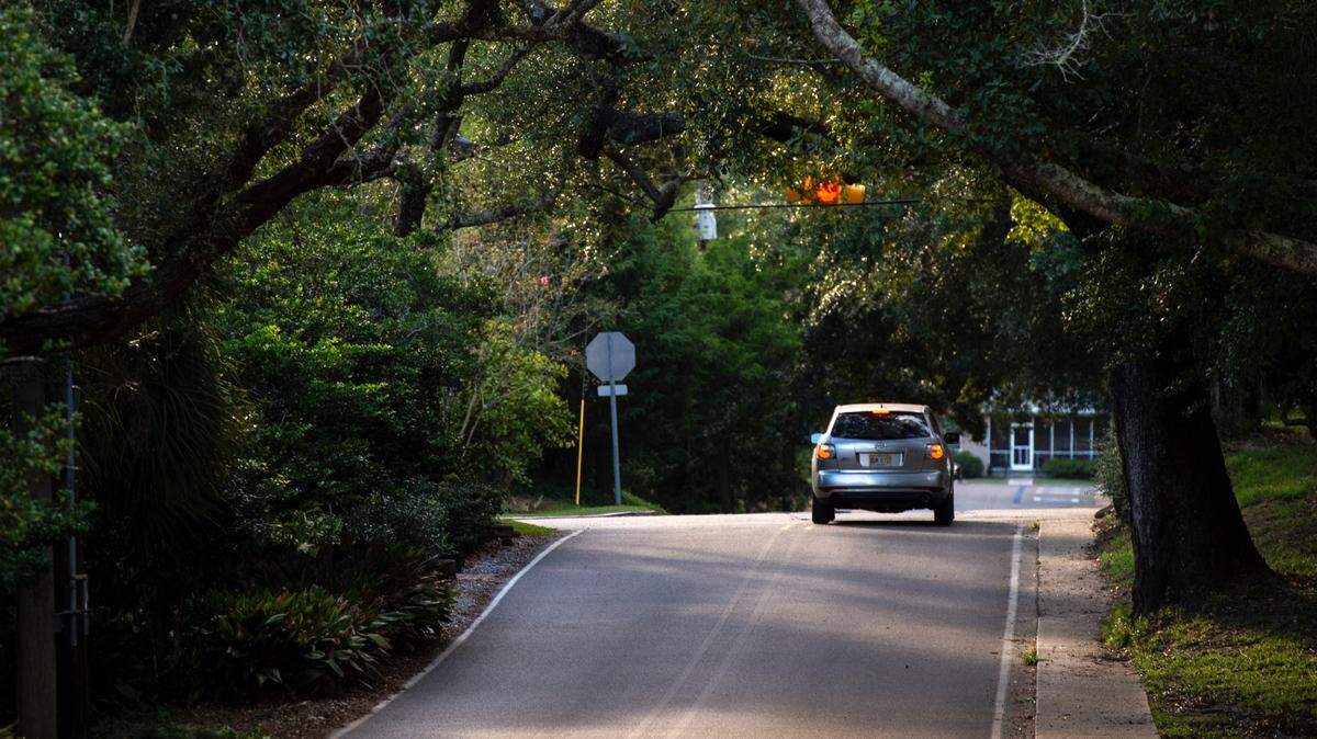 Trees cover the intersection of Calhoun Street and Washington Avenue in Ocean Springs on Wednesday, Sept. 25, 2024.