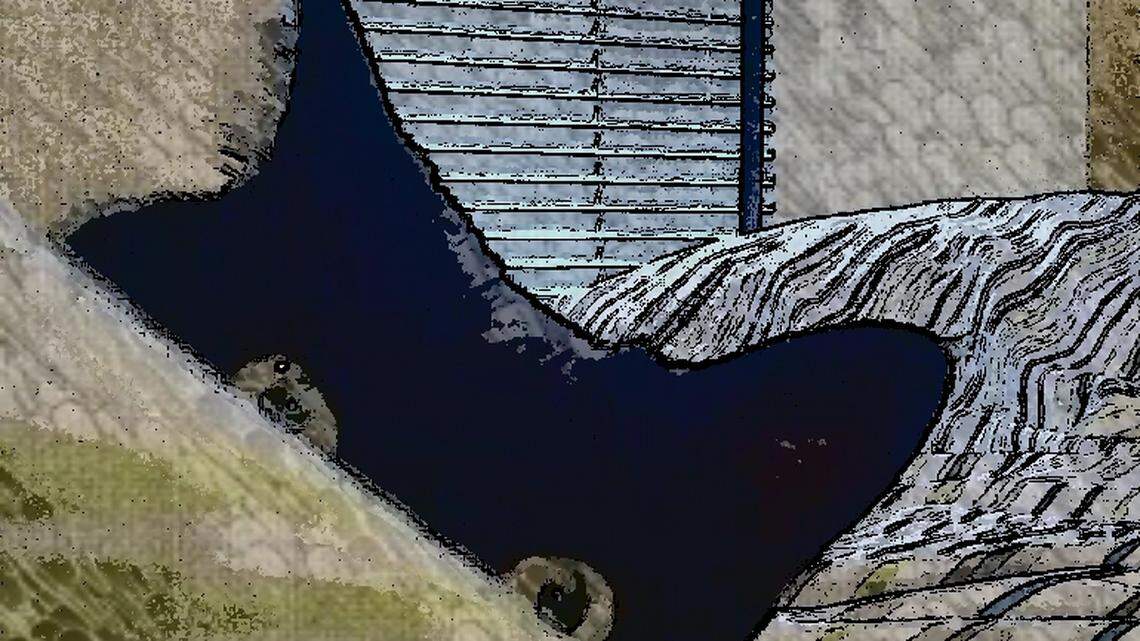 News of the thefts has other owners confessing their cats are also criminals, suggesting truth to the cat burglar reputation.