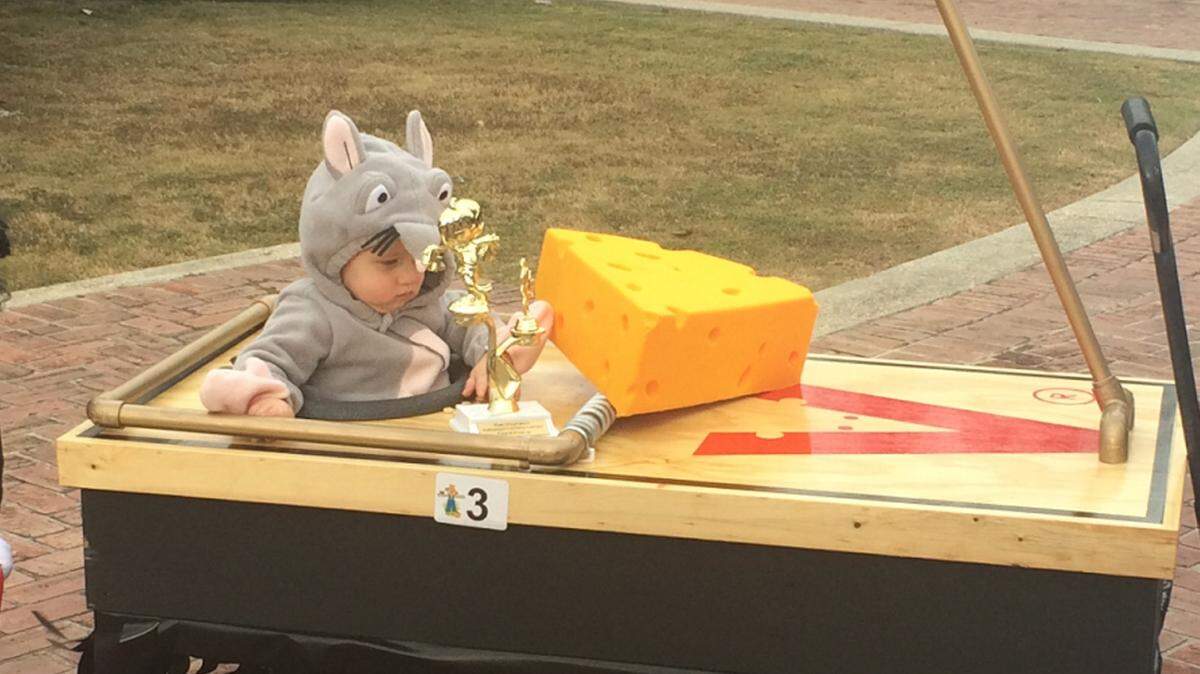 JAMES SKRMETTA/SUN HERALD 
 Jack Carron, 1, gets into the Halloween spirit with his mousetrap costume at Halloween Around the Town Green in Biloxi on Oct. 24, 2015.