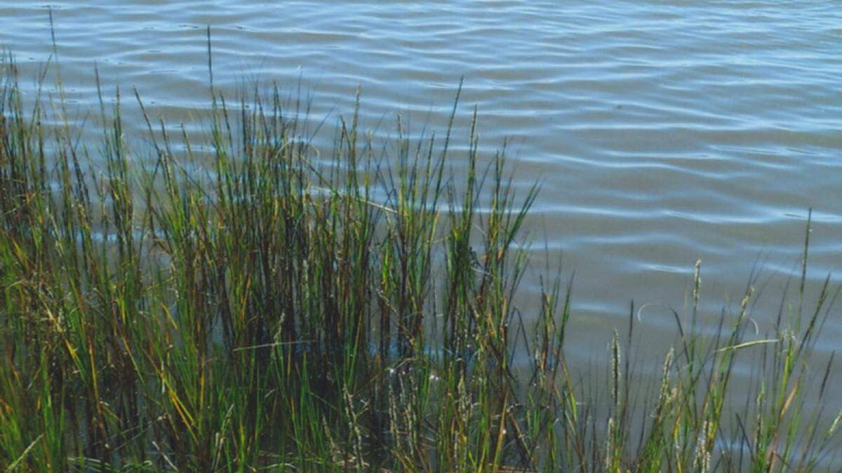 KAT BERGERON/SPECIAL TO THE SUN HERALDMississippi Coast waterways take on a special sparkle in October, including this favorite fishing and boating spot at Gulf Islands National Seashore Park in Ocean Springs.