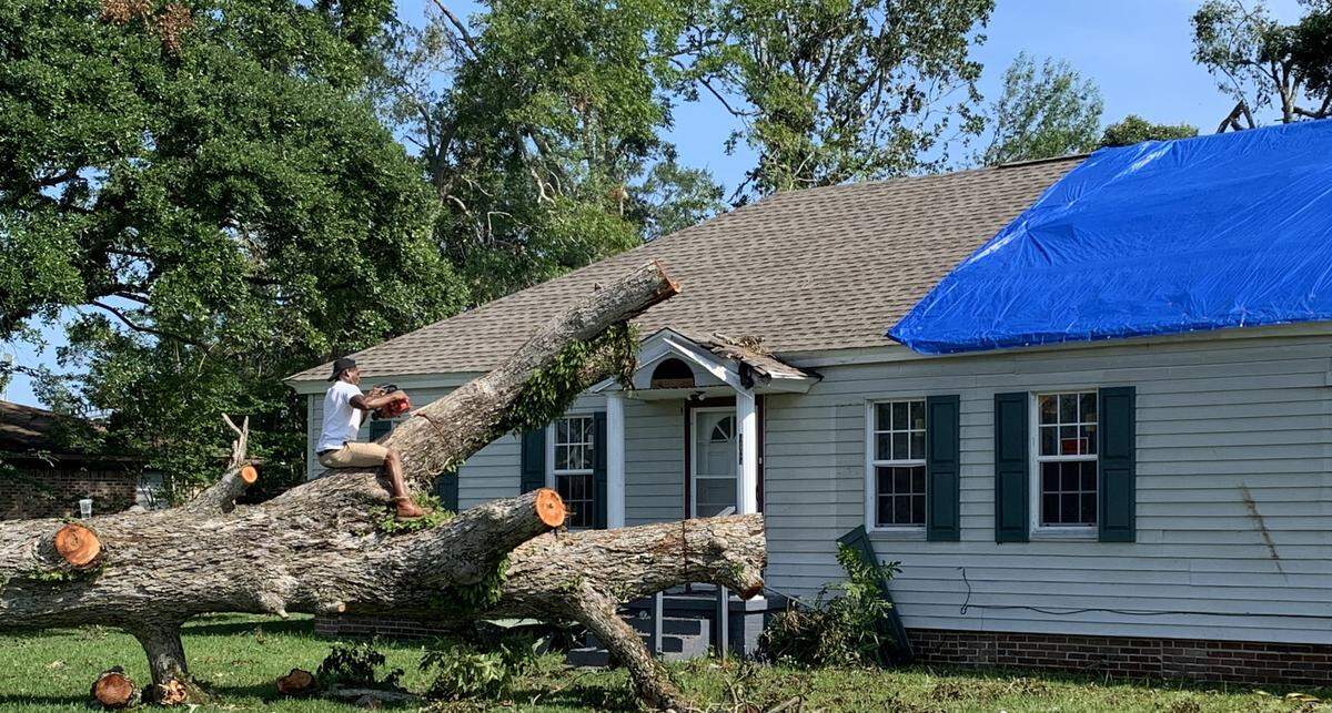 A tree trimmer is perched on a massive tree on Dantzler Avenue in Moss Point on Thursday, June 22. It’s one of many trees downed by a tornado.