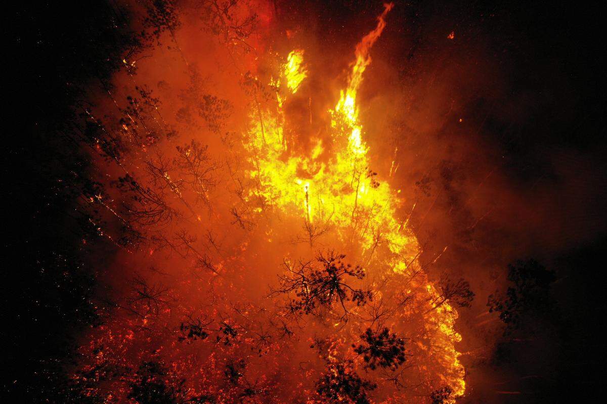 An aerial view shows a blaze burning in the woods near the Gulf Park Estates neighborhood in Jackson County on Saturday, April 9, 2022.