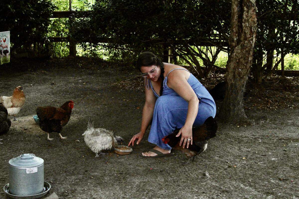 Jamie Stebly lives in the Gulf HIlls subdivision of Jackson County just outside Ocean Springs. After a neighbor complained, she and husband Chris Stebly hired an attorney and took measures that have so far allowed them to keep their backyard chickens in the subdivision. The Steblys say their other neighbors have been supportive.