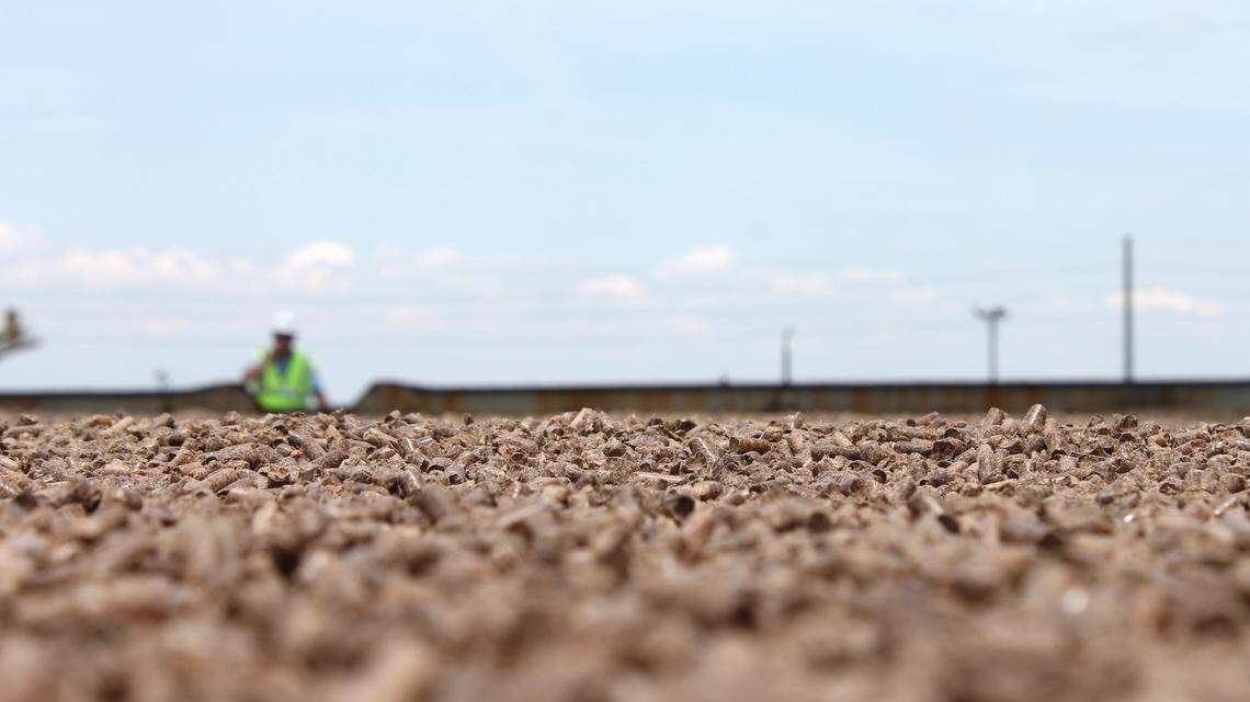 $1.4 million grant will help secure wood pellet plant for Lucedale