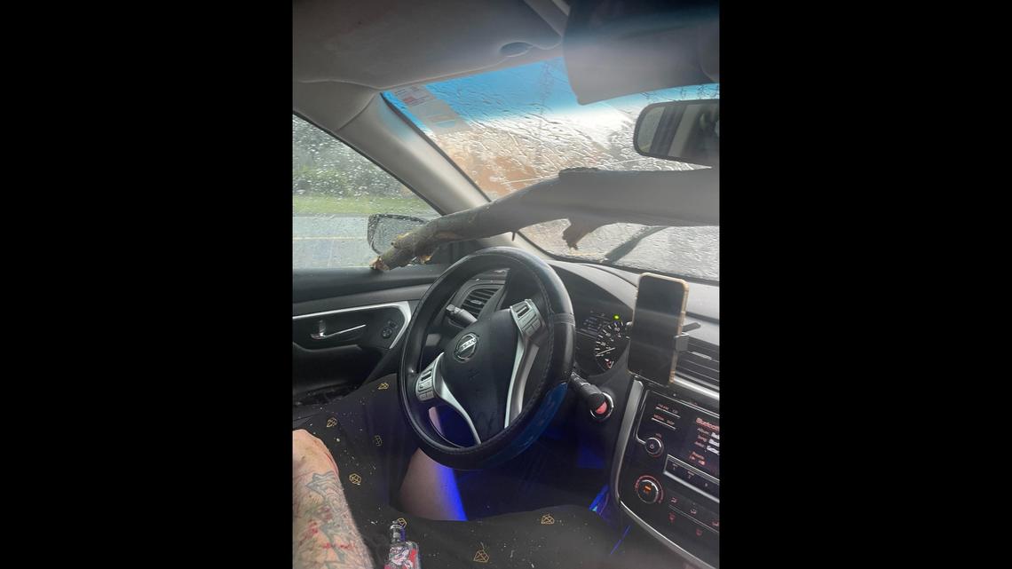 A daytime outing took a scary turn for a Georgia family when a large tree came crashing onto their car during heavy storms in the Atlanta area.
