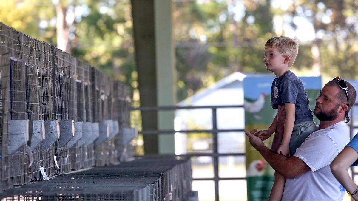 AMANDA McCOY/SUN HERALD 
 Jared Larsen holds up Ty Larsen, 5, so he can get a better view of the poultry on display during the opening day of the Jackson County Fair on Sunday, October 18, 2015. The fair continues throughout the week.