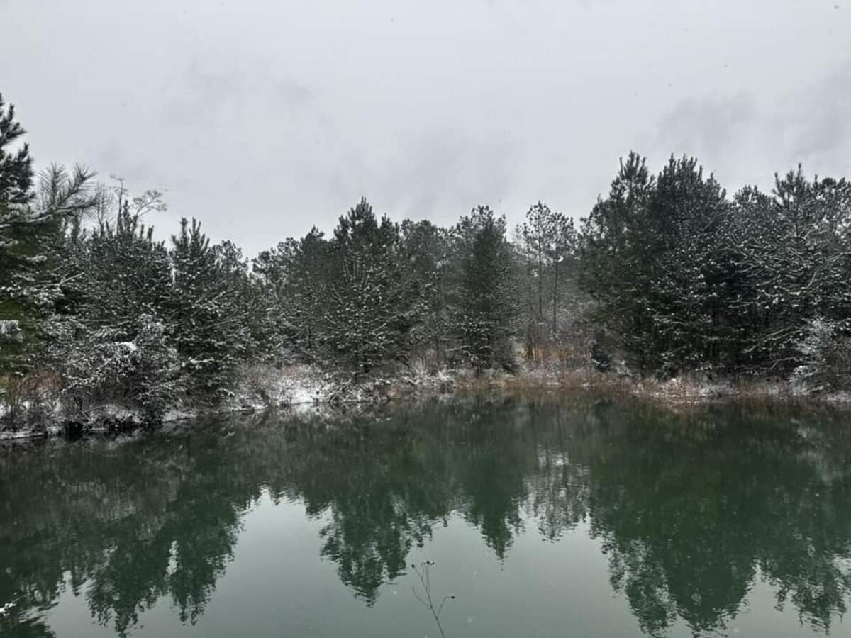 Bowen Brown sent in this photo of a snowy landscape. “I’ve only ever been lucky enough to witness the heavy frost on the ground, “ he said. “But this little snow storm we’re having here is just astonishing. Plus, I honestly prefer cold weather instead of the heat we get the majority of the time so we’re out here living it up!”