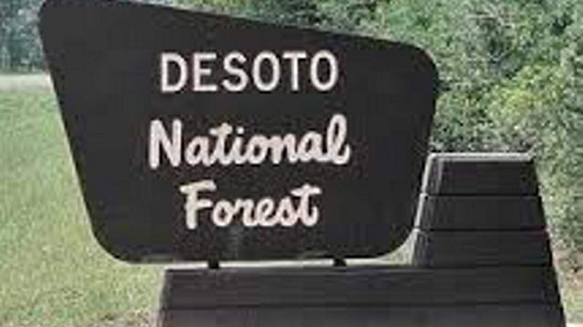 U.S. FOREST SERVICEA portion of De Soto National Forest in Harrison County is where a Gulfport woman was injured when she jumped a bicycle ramp in an outing on the Bethel Bicycle Trail in 2012.
