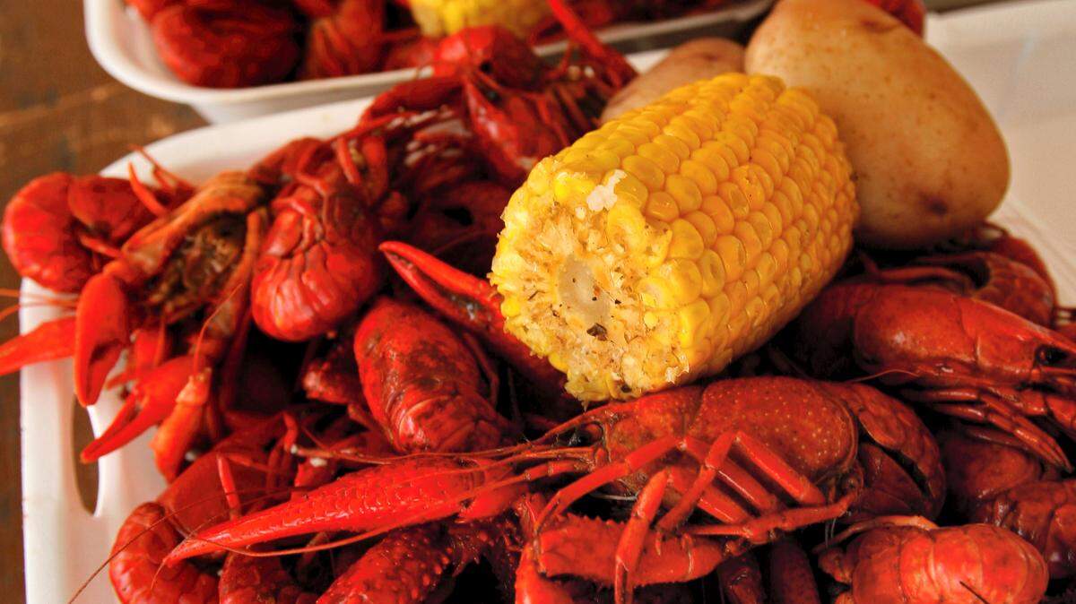Crawfish dinners are big hits at the Crawfish Music Festival. This year’s festival opens Thursday at the Coast Coliseum in Biloxi.