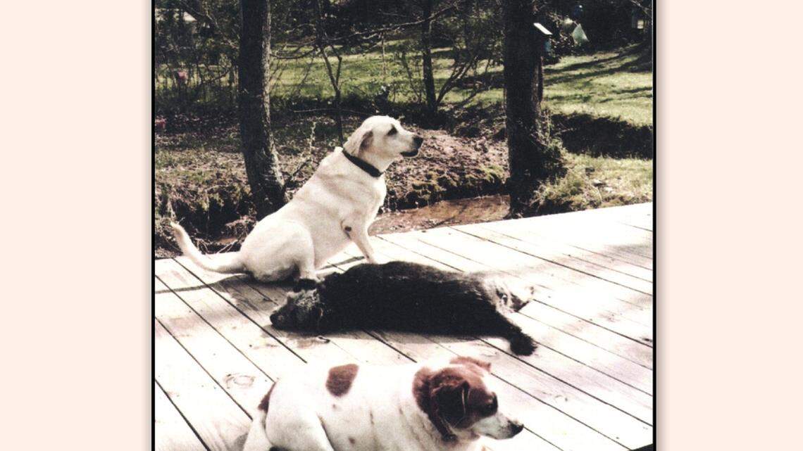 Rheta Grimsley Johnson honors loyal friends in new book 