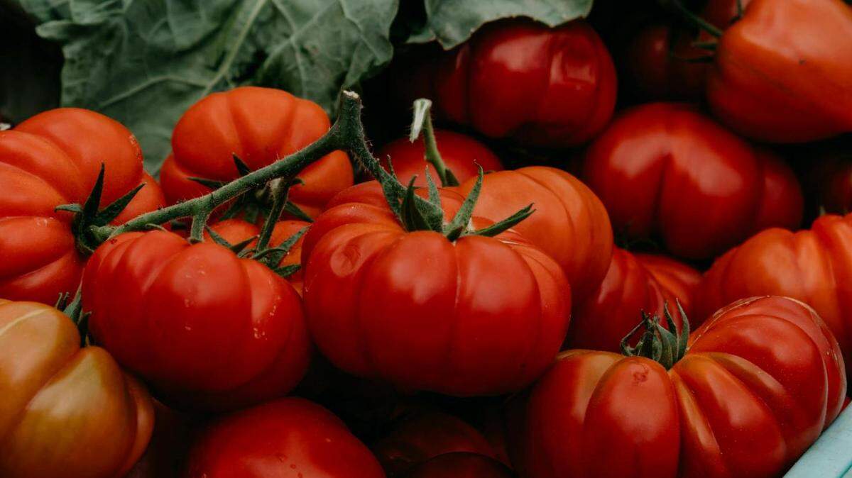 Vine ripe tomatoes sold in packs of four were recently recalled in Mississippi, Ohio and several eastern states.