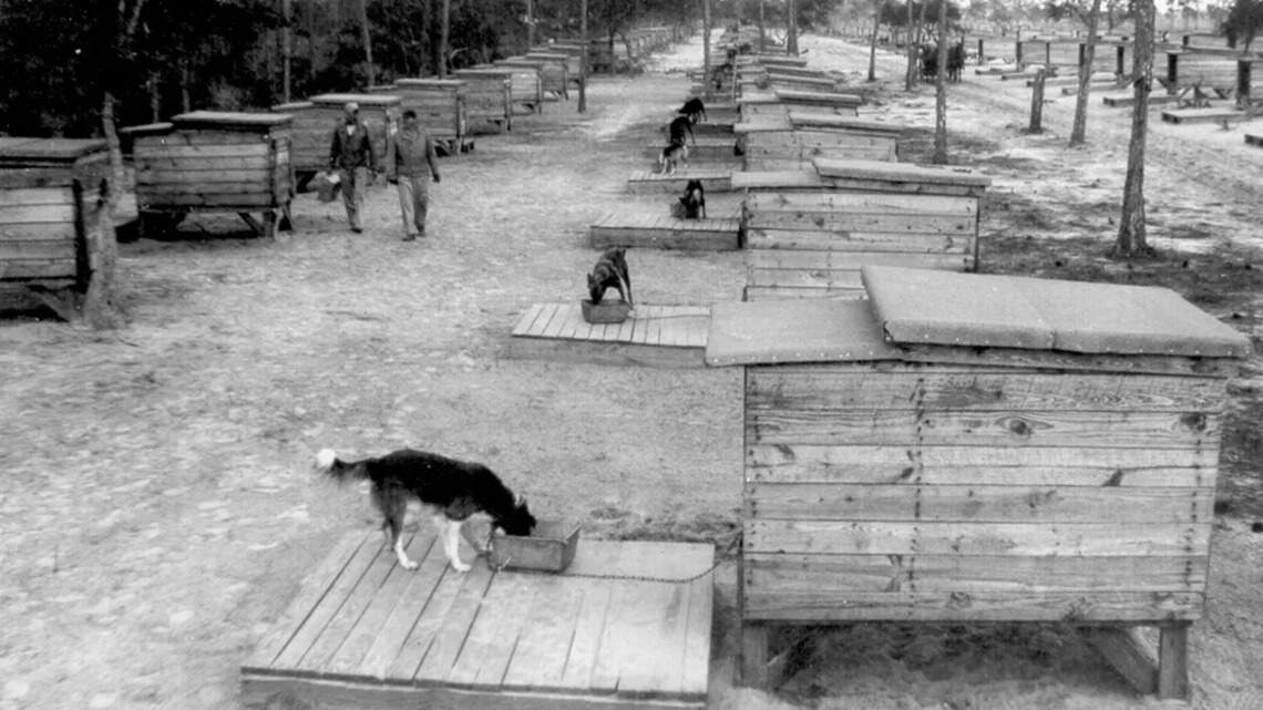 Japanese-American soldiers were once used as ‘bait’ to train attack dogs on this MS island