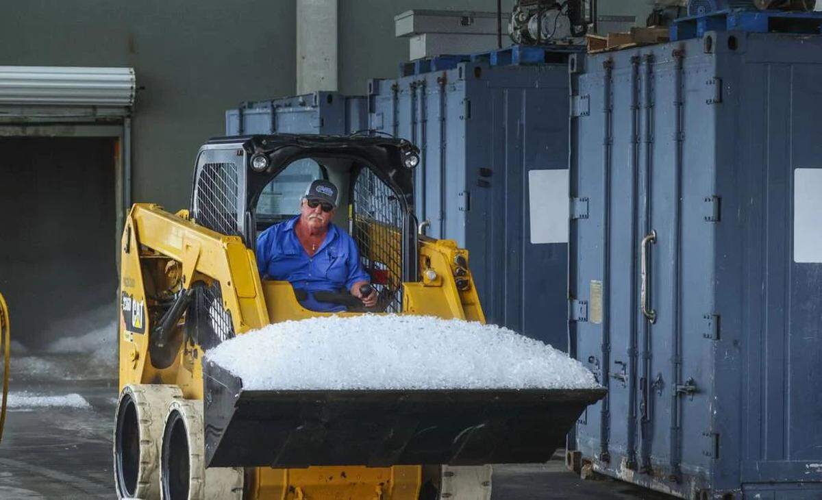 David Gautier collects ice to put on shrimp as he comes off a boat at Gautier’s at the Harbor in Pass Christian on Sept. 25, 2025.