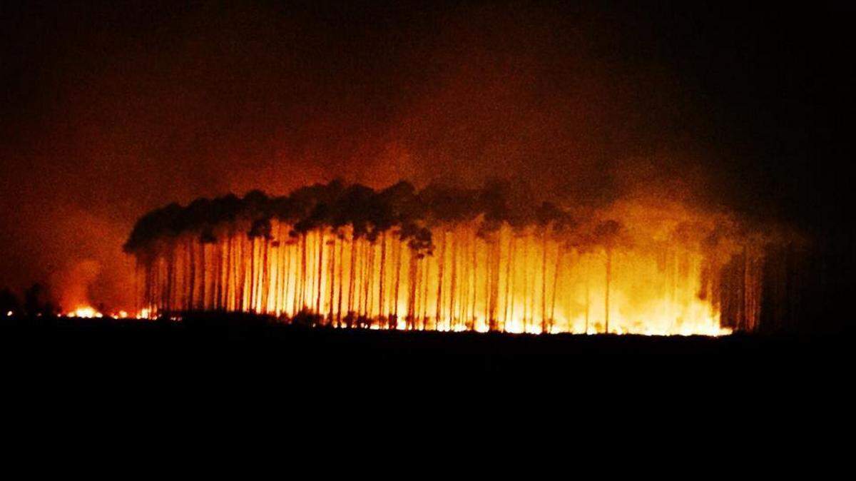 COURTESY US FISH AND WILDLIFE SERVICE 
 A fire that started in Jackson County on Thursday has spread over 900 acres and burned into Alabama. Officials say the fire is burning in mostly uninhabited areas.