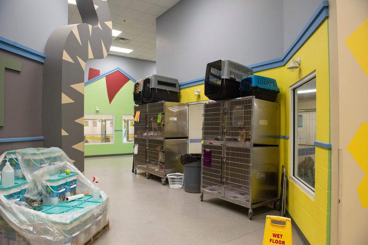 Due to the influx of animals, many are being kept in kennels that had to be added in the hallways at the Humane Society of South Mississippi in Gulfport on Thursday, July 7, 2022.