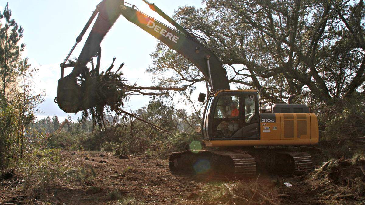 ANITA LEE/SUN HERALDHeavy machinery chomps up limbs on the site of a Love's Travel Stop being built at the northeast corner of Interstate 10 and County Farm Road near Gulfport.