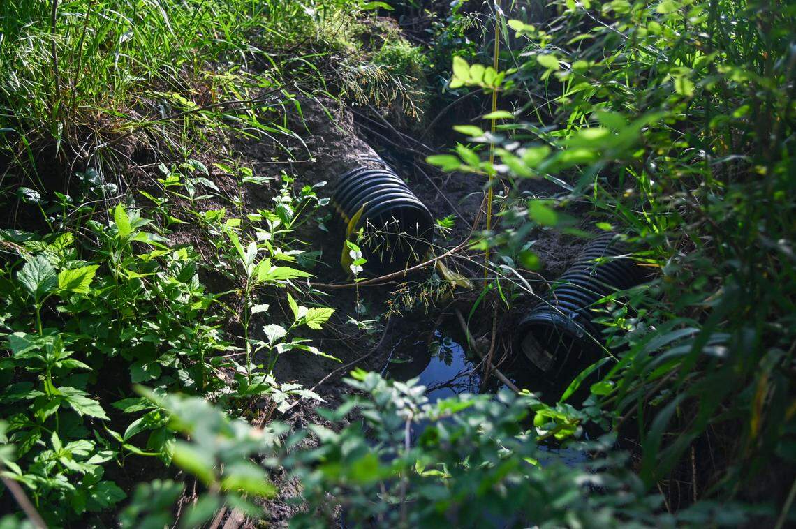 Water collects at a drainage point at the edge of Doug Doughty’s field on June 2 in Livingston County, Mo. Doughty installed a new terraced drainage system in late April. 