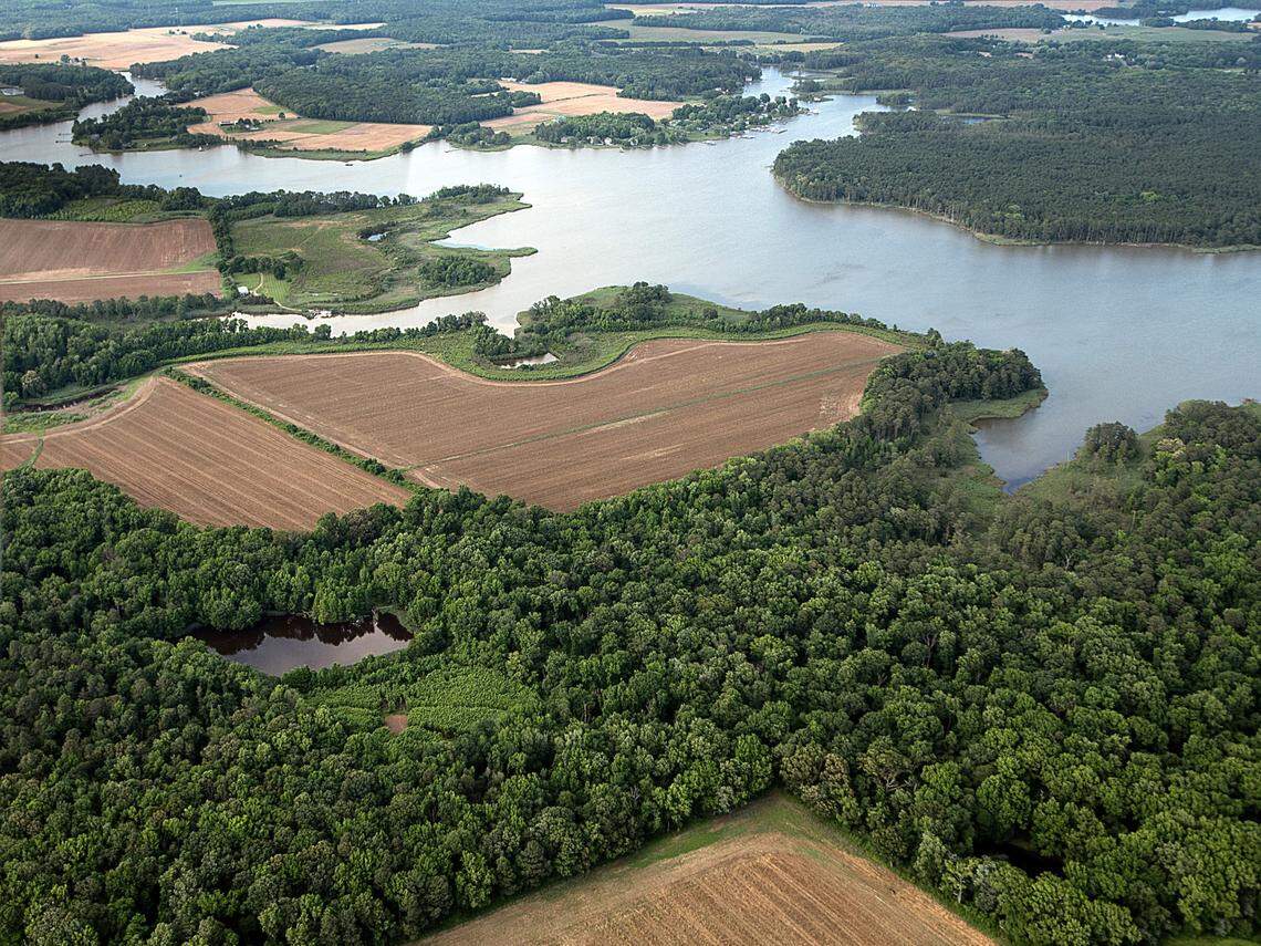 Farm fields south of Rock Hall, Maryland, are seen in May 2024 along Grays Inn Creek.