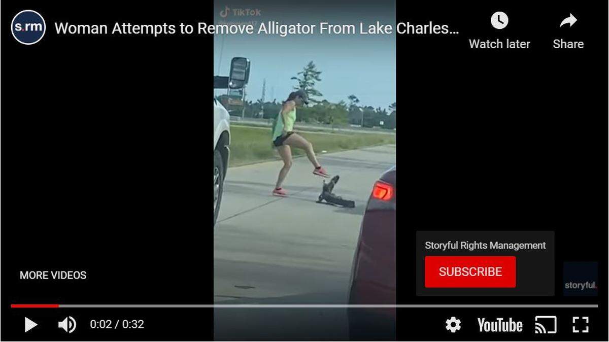 A screen grab of a video shared by Storyful shows a woman trying to shoo an alligator off a highway in Louisiana.