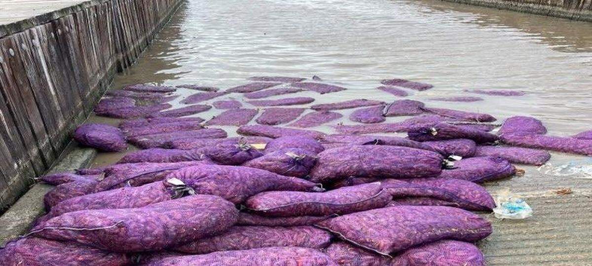 Eight sacks of dead crawfish were dumped in a Louisiana bayou after the men who bought them could not sell them across the Gulf Coast, the Department of Wildlife and Fisheries said.