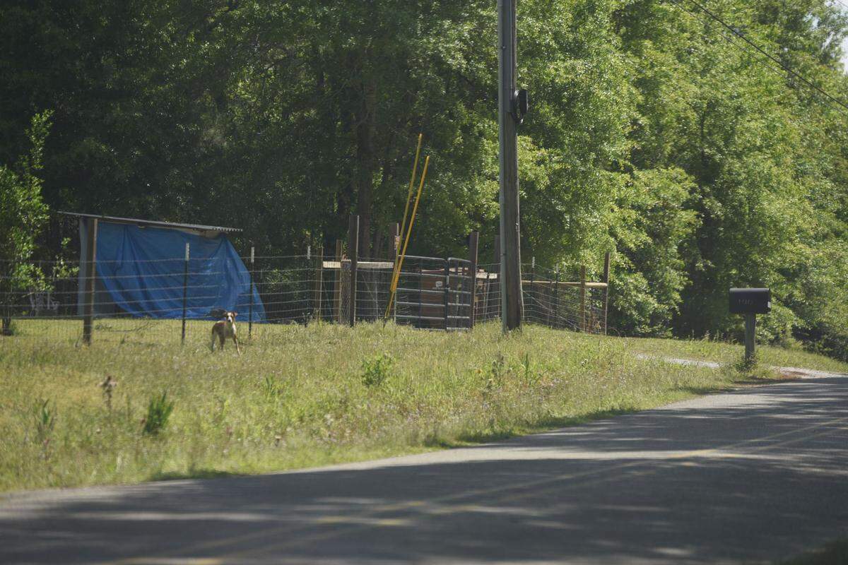 Shortly before 6 p.m. Sunday, April 13, 2025, a member of the search team found the body of Gracelynn Vick near the house she lived in.