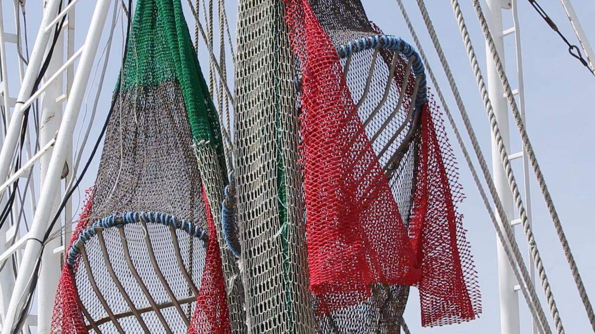 JOHN FITZHUGH/SUN HERALDNets with turtle-excluder devices attached hang from a boat at the shrimp harbor in Biloxi on Sunday.