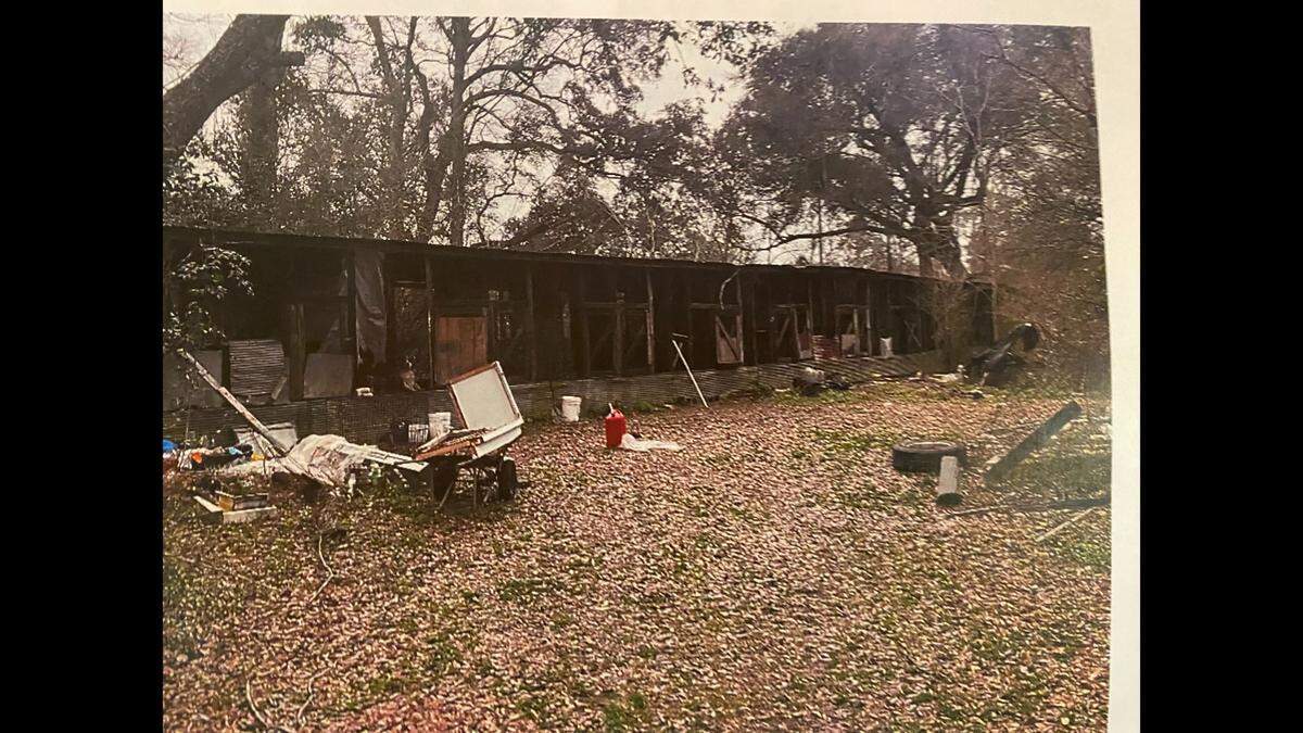 Hancock County sheriff’s deputies seized nine dogs after responding to a report of animal cruelty. Some of the dogs lived in rundown chicken coop on Standard Dedeaux Road in Kiln and had no food or water. Deputies seized the animals after a report about a man physically and sexually abusing some of the dogs.