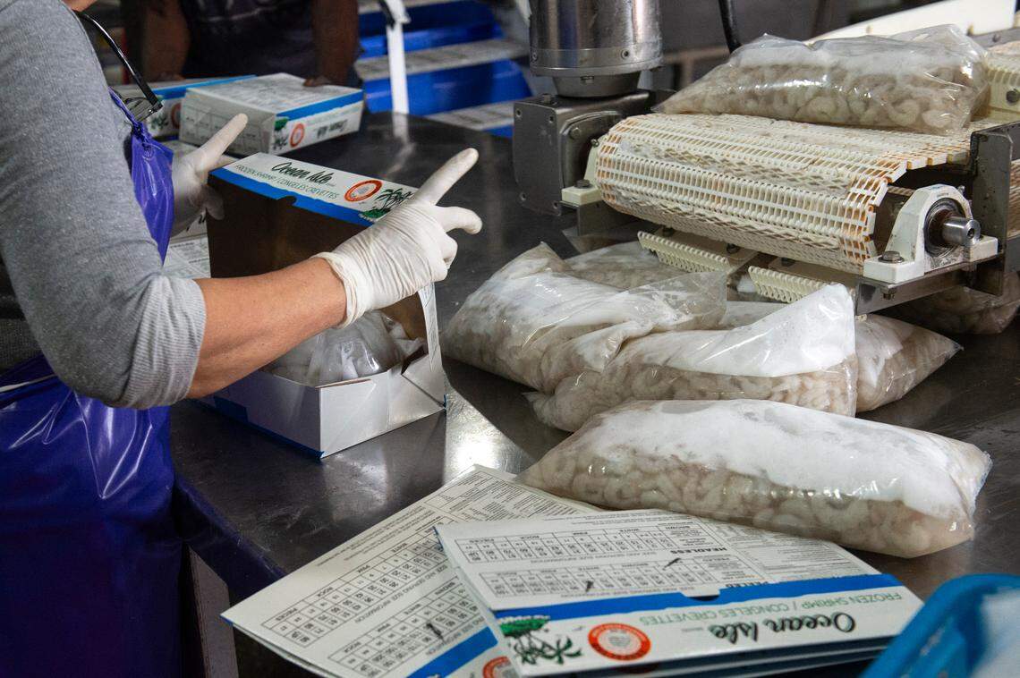 Boxes of shrimp are packed and ready to be shipped at Biloxi Bay Processing in Biloxi on Friday, May 31, 2024. Each box of shrimp holds 5 pounds of shrimp.