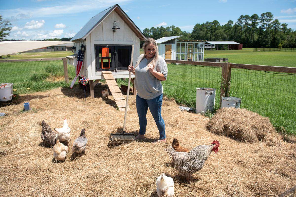 Sarah Blackbourn tends to her chickens at her home in Latimer on Monday, July 22, 2024. Blackbourn started using social media to promote her woodworking business and eventually started using it to document raising chickens.
