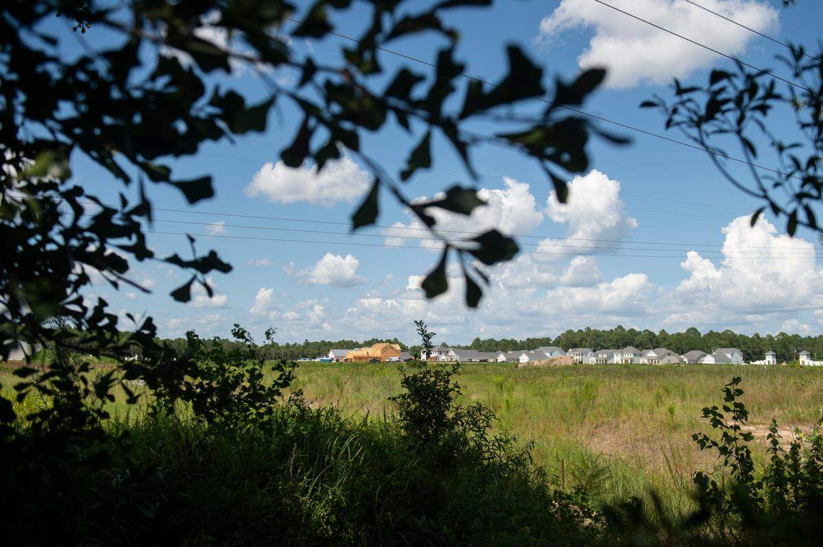 A subdivision being built where woods once sat behind Bob Kiesau’s home in Ocean Springs on Monday, Aug. 5, 2024.
