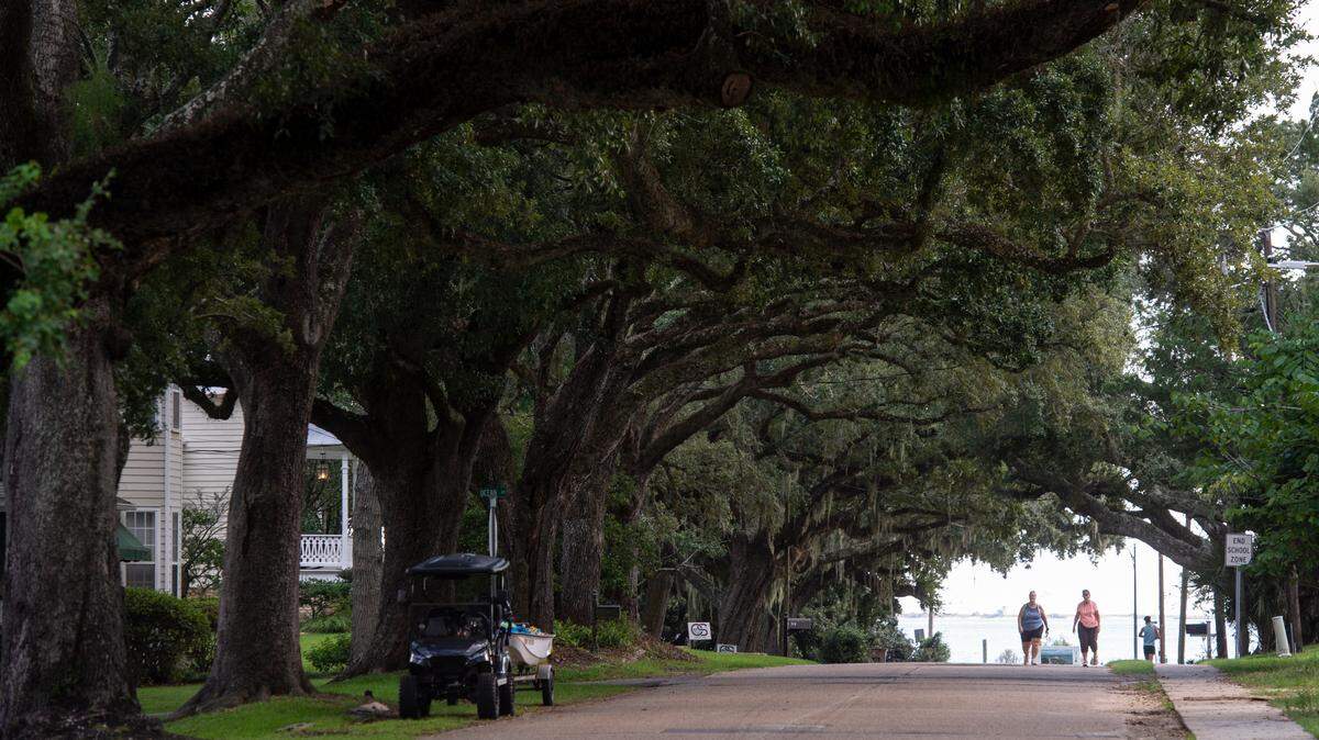 Pedestrians walk beneath the tree canopy on Jackson Avenue in Ocean Springs on Wednesday, Sept. 25, 2024.