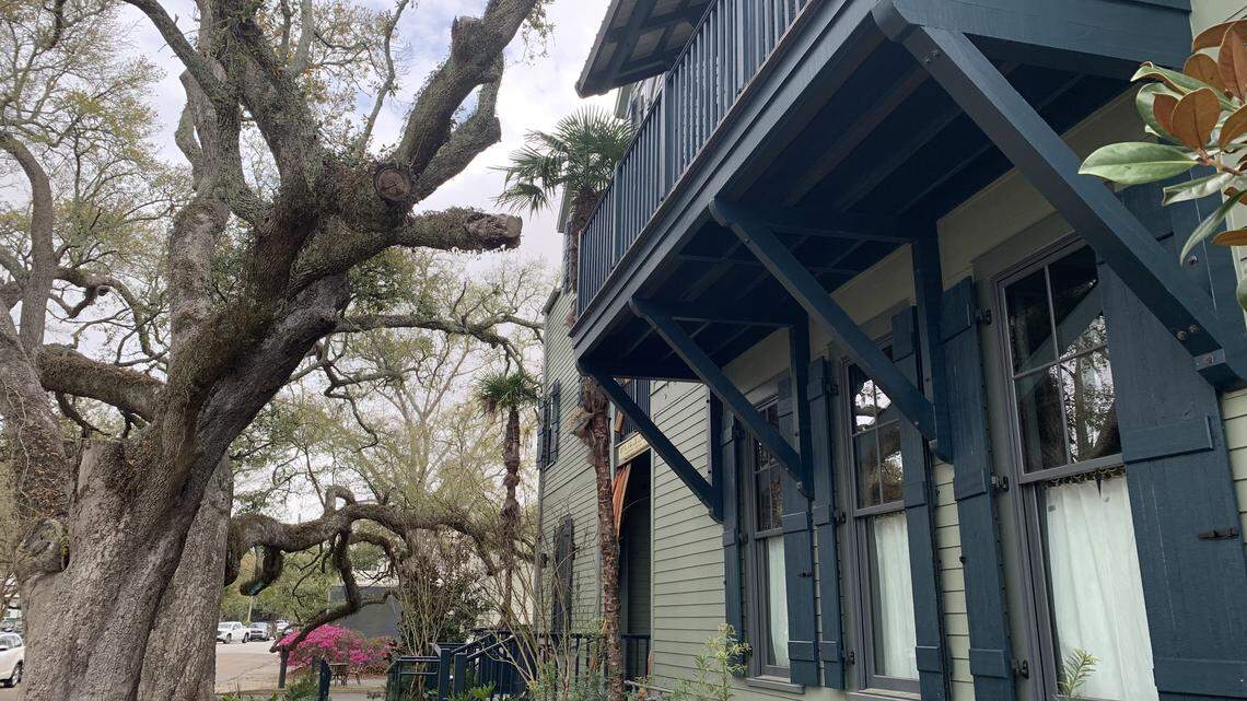 ‘Posh’ South MS hideaway is a treehouse amid the restaurants, shops and fun