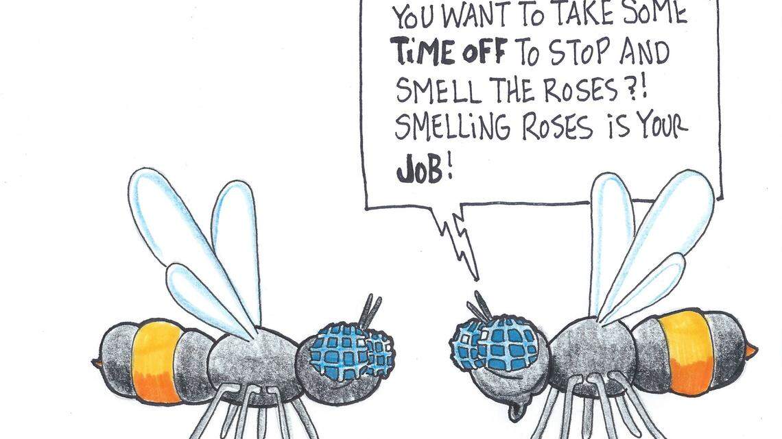 Tim Lockley: Carpenter bees' damage is mostly cosmetic 