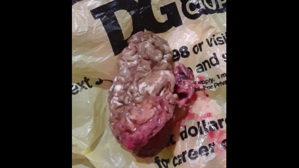 A Mississippi woman says she ended up calling the police after one of her children opened a can of off-brand play dough and found something akin to a brain inside.