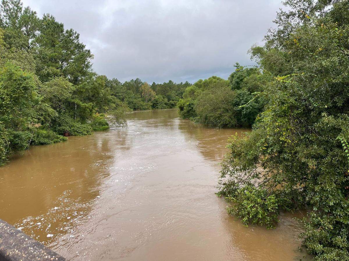 A view of the Biloxi River from a bridge on Three Rivers Road. Water covers the banks and trunks of trees as the water level rises.