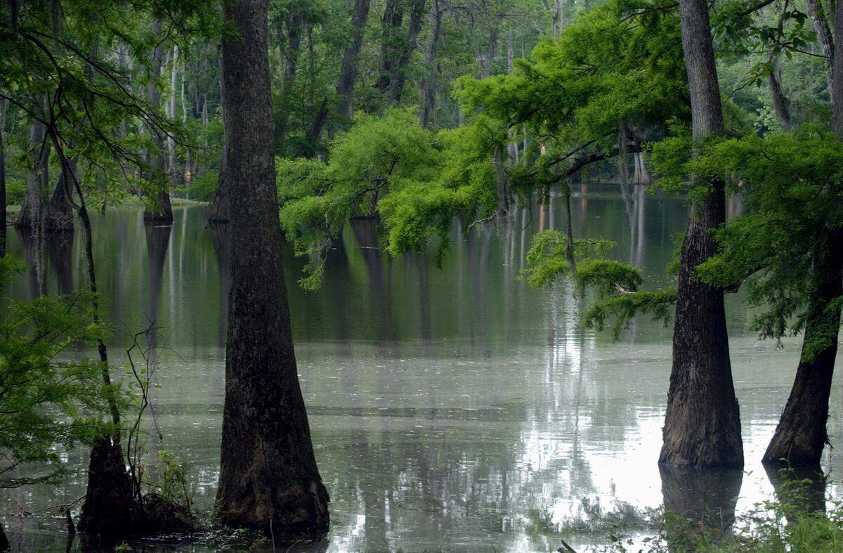 Rhymes Lake in George County offers the pristine beauty of the Pascagoula River. The Pascagoula River is the only free flowing river remaining in the U.S.