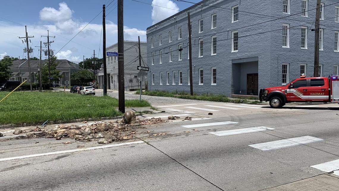 Sanitation crews had to clean up a pile of animal remains that were dumped in the middle of a New Orleans roadway.