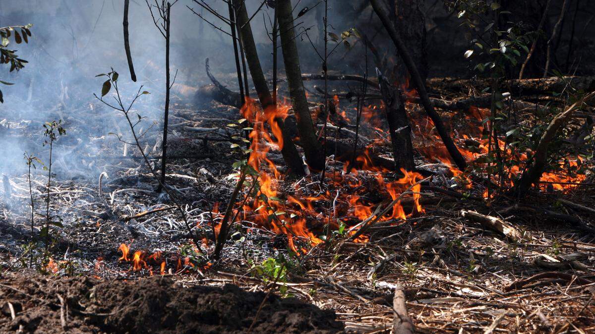 TIM ISBELL/SUN HERALD/2009 
 A brush fire on Old Spanish Trail Road in Ocean Springs was contained by late afternoon Friday.