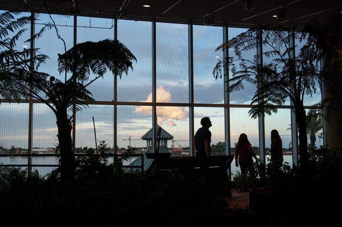 Guests walk through the butterfly garden at the Audubon Insectarium in New Orleans on Tuesday, June 6, 2023.