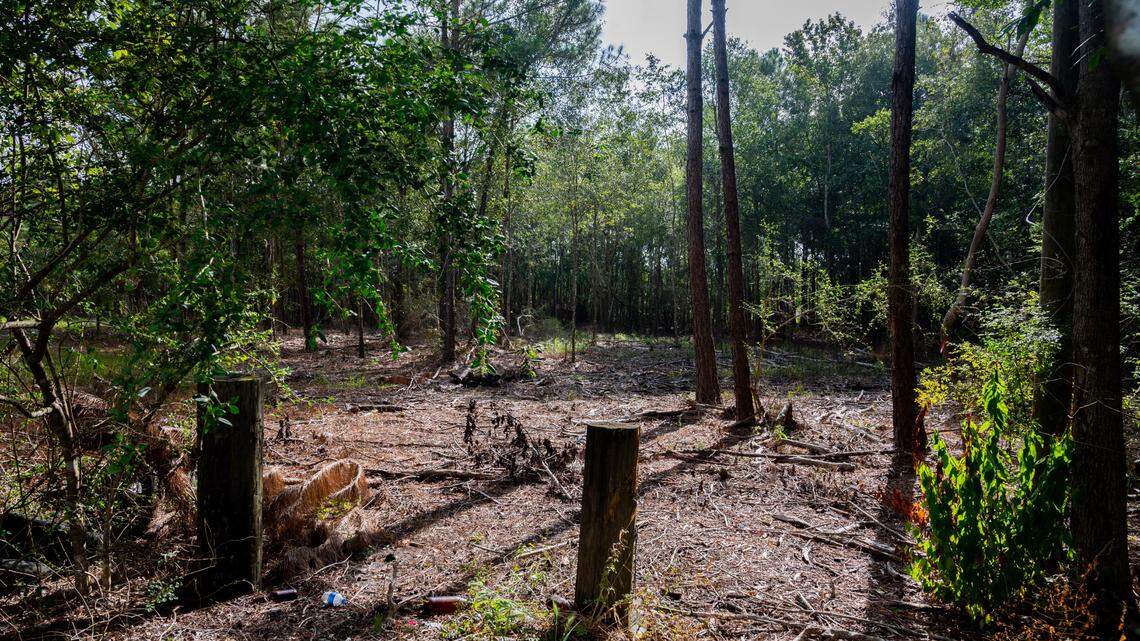 A historic Black neighborhood wants to fight Gulfport’s $20M road plan. Can Biden help?