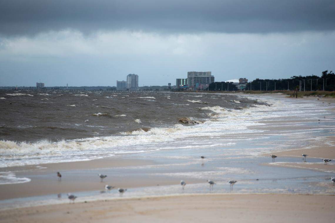 Wind and wave battered the Biloxi Beach during Hurricane Francine. The beach in Harrison County remains closed on Thursday while crews restore the sand.