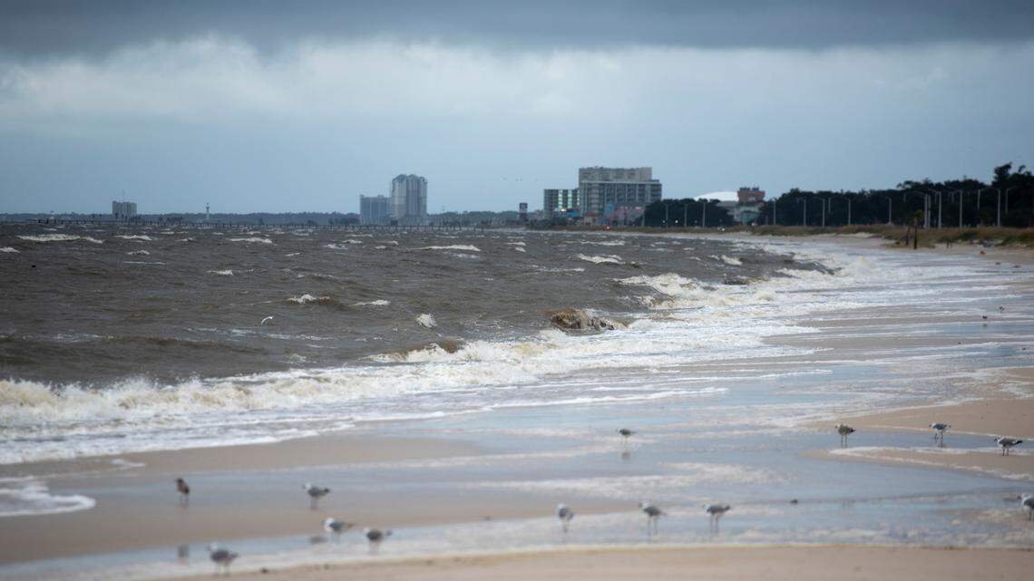 Thursday updates: Checking in on bridges & beaches, and firefighters that wrangled a gator