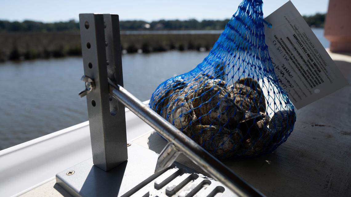 New kind of seafood restaurant opening in South MS. Here’s what makes it special