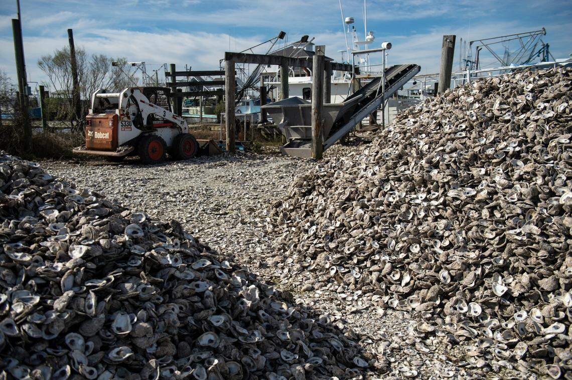 Oyster boats once lined the docks in Hancock County but are scarce these days.