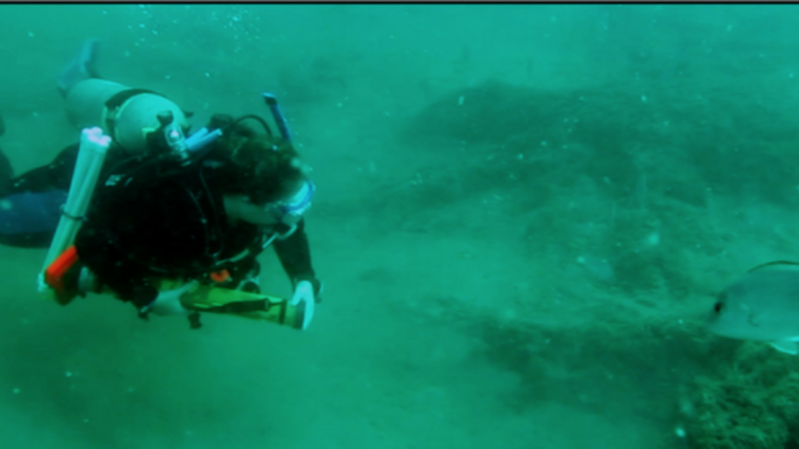 The stumps were found 60 feet down and are so well preserved that samples still smell like bald cypress, according to a release from Louisiana State University.