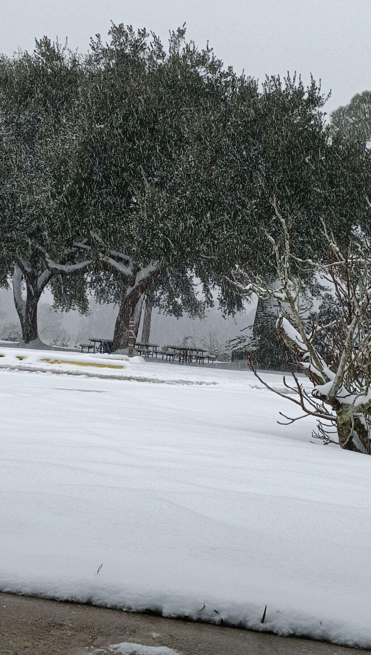 Ashley Rice sent in this photo of the snowfall in Latimer. “Born and raised in Biloxi, this is my first time seeing snow and boy am I enjoying it! (Besides the cold).”